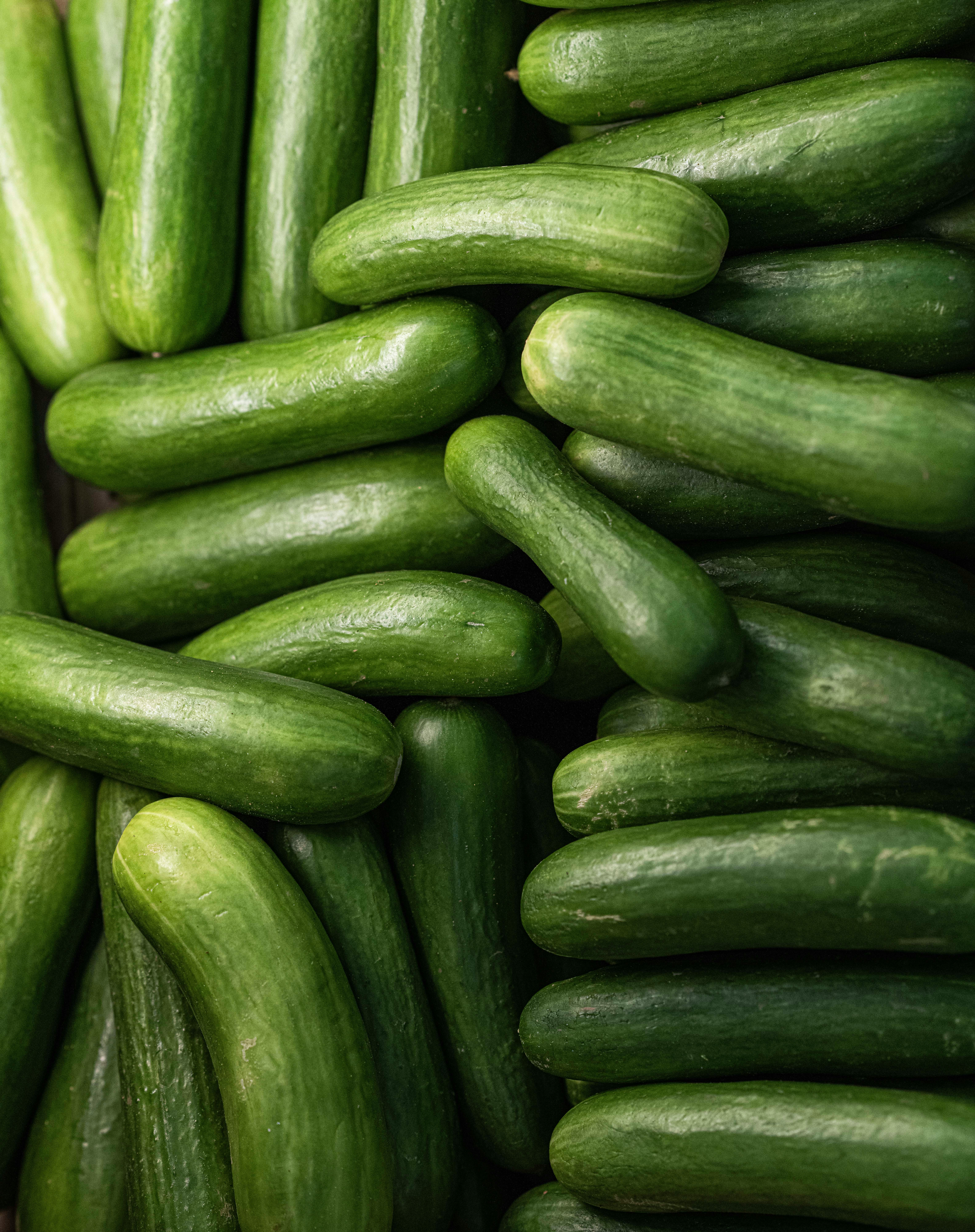 Cucumber