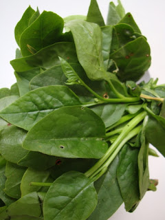 Malabar Spinach