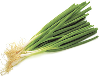 SpringOnion